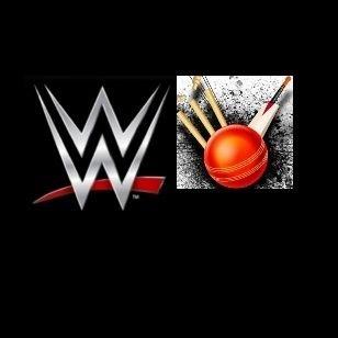 i love cricket and wrestling
my favourite cricket is virat kohil and Shubham gill 
my favourite wrestling is Cody Rhodes and roman Reigns