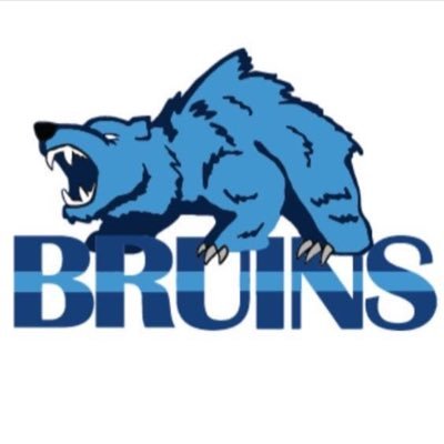 Chicago Bruins Baseball Profile