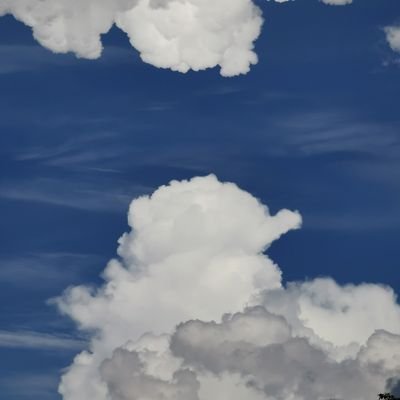 Ruzayfieee___'s profile picture. nothing