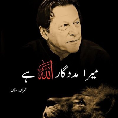 follow thiS X page TigErs only imran khan 👑❤️