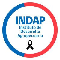 Indap_O’Higgins (@indap_o) 's Twitter Profile Photo Indap_O’Higgins (@indap_o) 's Twitter Profile Photo