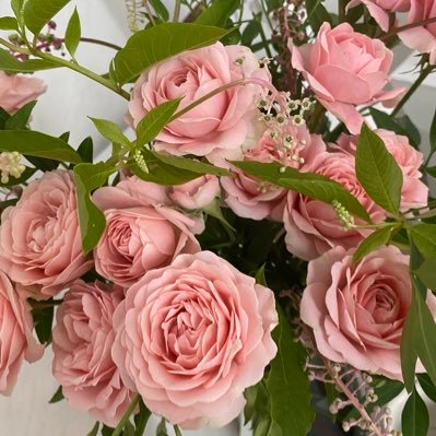 hide284kh's profile picture. TOMORROW_X_TOGETHER❤︎MOA