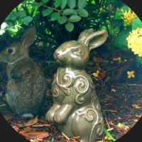 Gardegram (@gardegram52) 's Twitter Profile