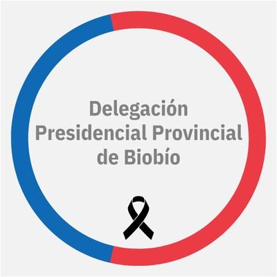 DPPBiobio Profile Picture