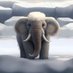 Crypto Elephant (@elephant_gems) Twitter profile photo Crypto Elephant (@elephant_gems) Twitter profile photo