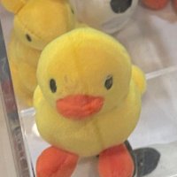 K (@trsr39) 's Twitter Profile