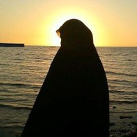 zahraa (@zahraa1212184) 's Twitter Profile Photo zahraa (@zahraa1212184) 's Twitter Profile Photo