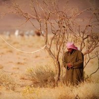 mmm (@mmm74146740) Twitter profile photo