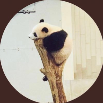 KomoriyaRi16786's profile picture. 