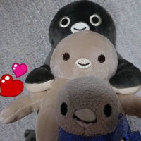 座敷わらしペンギン(@sin_cos_pen) 's Twitter Profile Photo