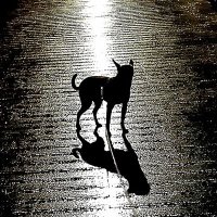 Mikel Chamizo (@mikelchamizo) 's Twitter Profile Photo