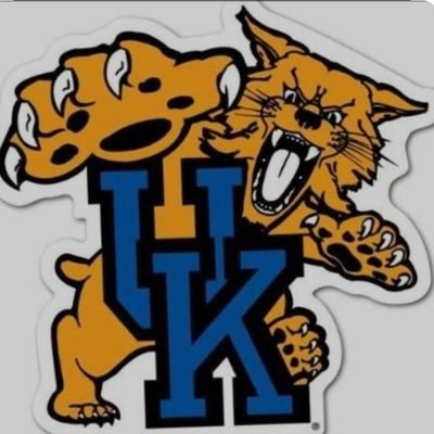 #BBN 🐱 Who's in the house tonight?  UK