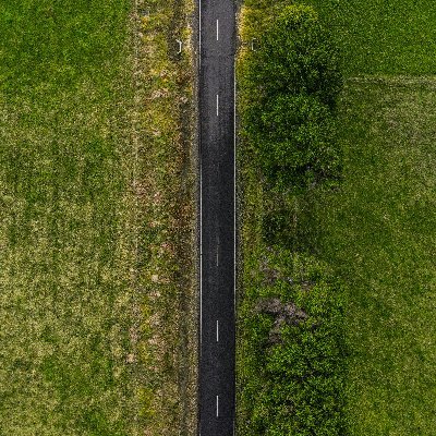 the5000art's profile picture. Making your brand visually stand out