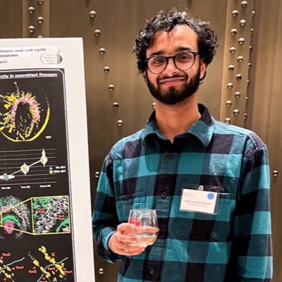 PhD scholar at the @DesplanLab; how do cell fate decisions couple with the cell cycle? 🔬📸🪰🧠