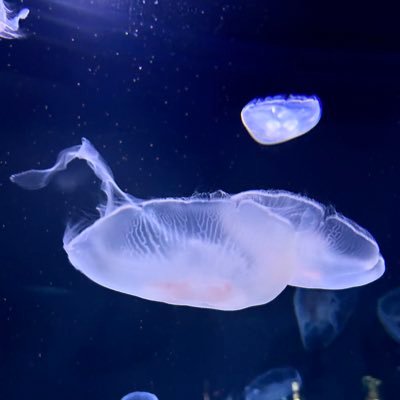 nkさんのプロフィール画像
