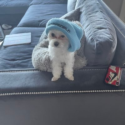 Yogesh48171379's profile picture. 