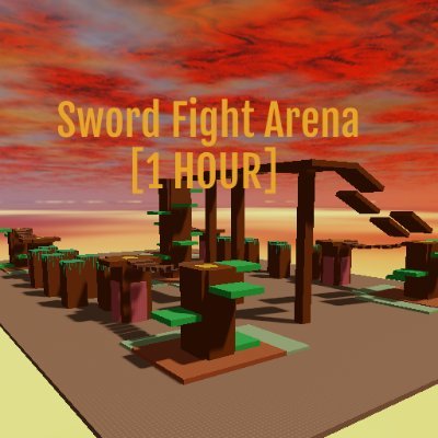 The Owner of Sword Fight Arena