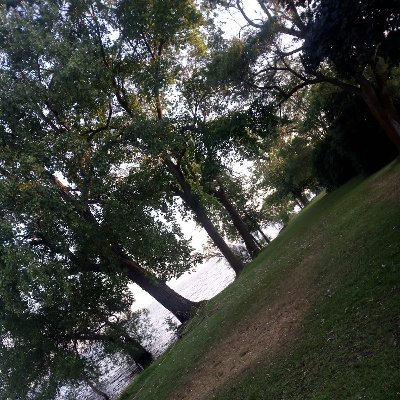 Azadmard2024's profile picture. 