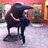 ScottBarrett78's profile image