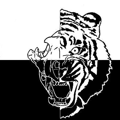 tigerbeasttb Profile Picture