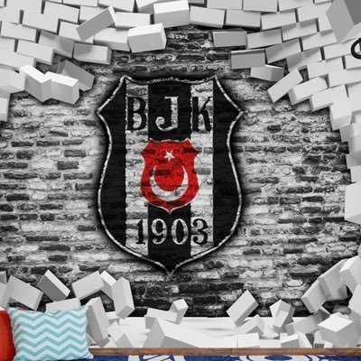 Yaşasın Beşiktaş mücadelemiz-Beşiktaş Kongre Üyesi.Köyiçi.