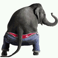 Elephantman85's profile picture. Always watching you!