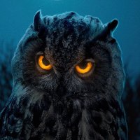 Crypto Jetton (@cryptojett95847) 's Twitter Profile