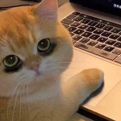 ArosteguiSarah's profile picture. Just your average morra otaku tristona 💘