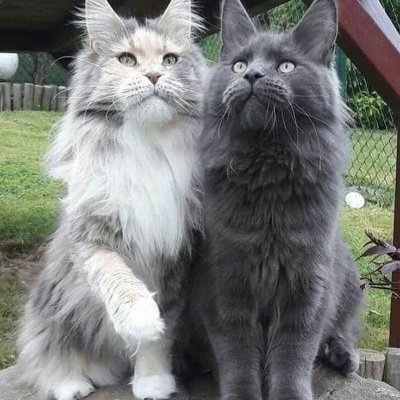 tbk23995's profile picture. type………