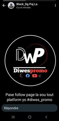 Diwes_promo