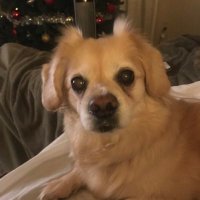 D J (@subwhitefemale) 's Twitter Profile