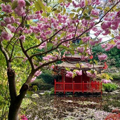 AnnetteLeeke's profile picture. Digital marketing, analytics and optimisation specialist within the UK insurance industry.