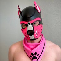 Lil Pup Hylas (@puphylas) 's Twitter Profile