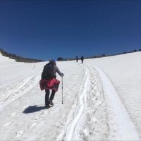 Bev (@bevjohnst) 's Twitter Profile