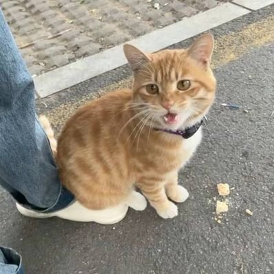 linyanjiang515's profile picture. i