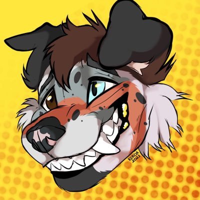 Australian shepherd from UK | They/Them (non binary) Pfp by Kercia x | 19 | SFW | Audhd | Taken ❤️🧡🤍🩷❤️