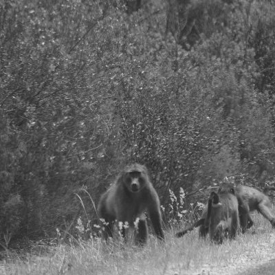 musa_gp's profile picture. Anything goes, God allowed me to spread my wings!!!!