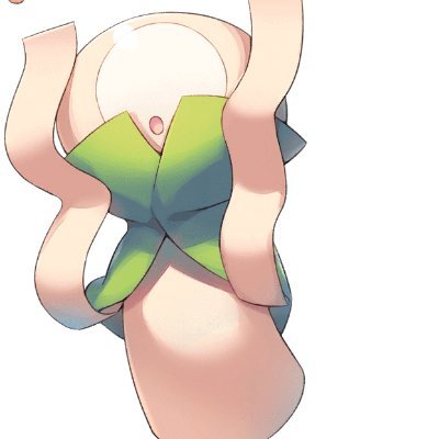 白さんのプロフィール画像