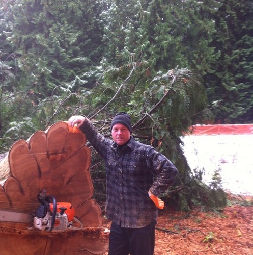 morrisarb's profile picture. 