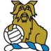 Always Town (@awaydaytown) Twitter profile photo Always Town (@awaydaytown) Twitter profile photo