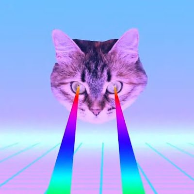 GRUMPYCAT1307's profile picture. 