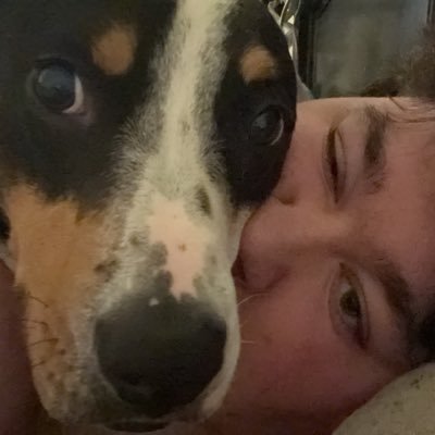 ewhiteGBE's profile picture. #LLJW  #GreenWall #GoBirds