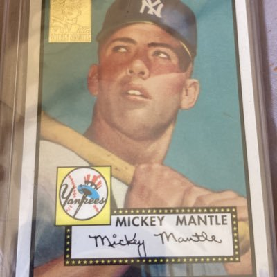 __melissafisher's profile picture. 