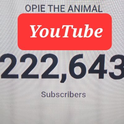 222K #punkrock  YouTube  Subscribers Hit the link Below AND ITS STILL PUNK ROCK FOREVER.     🔥💀 2024💀 MUSIC 💀🔥