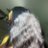 bxnnierxckss's profile image