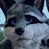 21 ✝️🇺🇲 | Best of Right/Centrist Furries being WEIRD | DM For Submissions | 18+ Account (Sensitive Content) | Owned by NOT a Twitter user