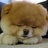 joyandki's profile image