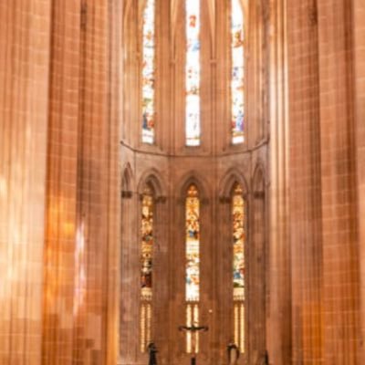 NilsAOhlsson's profile picture. Surgite Europa