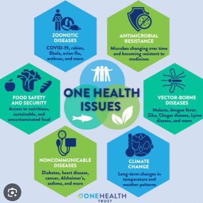 Infectious Diseases | Passionate about One-Health