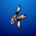 Attack! on Cowboys ✭ (@attackoncowboys) Twitter profile photo Attack! on Cowboys ✭ (@attackoncowboys) Twitter profile photo